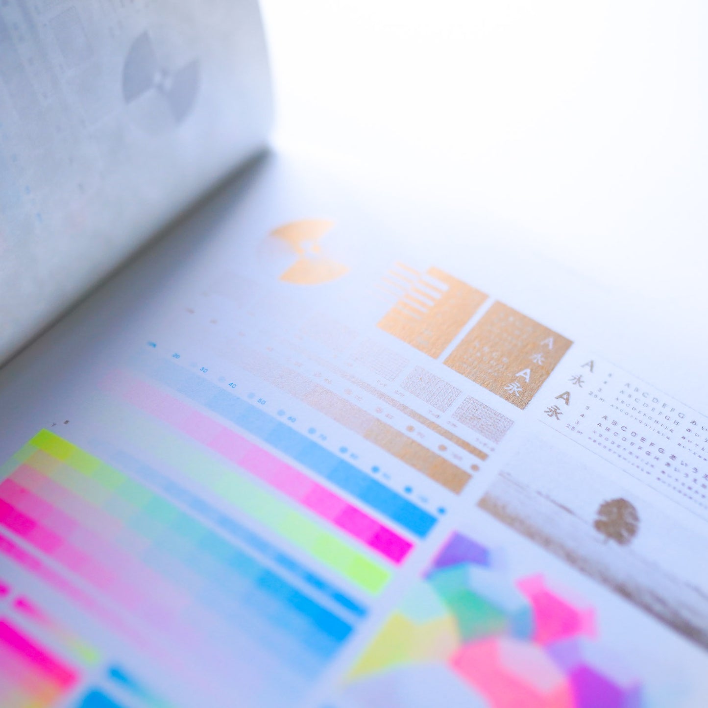 FINE PAPER x RISO